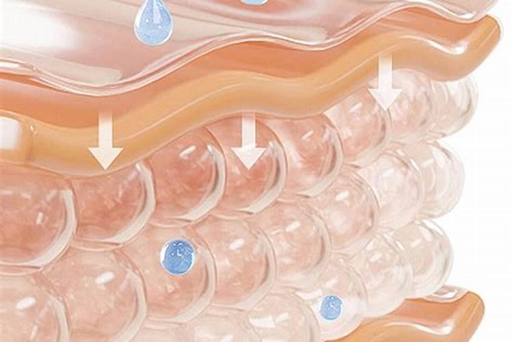 栀子花打花苞以后怎么浇水 栀子花打花苞以后怎么浇水呢