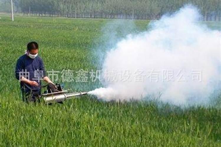 小麦分蘖期喷什么叶面肥 小麦分蘖期能打多效唑吗