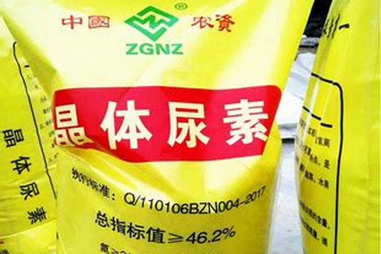 草莓开花可以用尿素吗