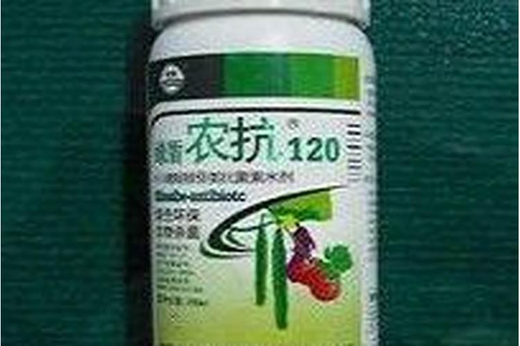 苹果摘袋后打什么杀菌药