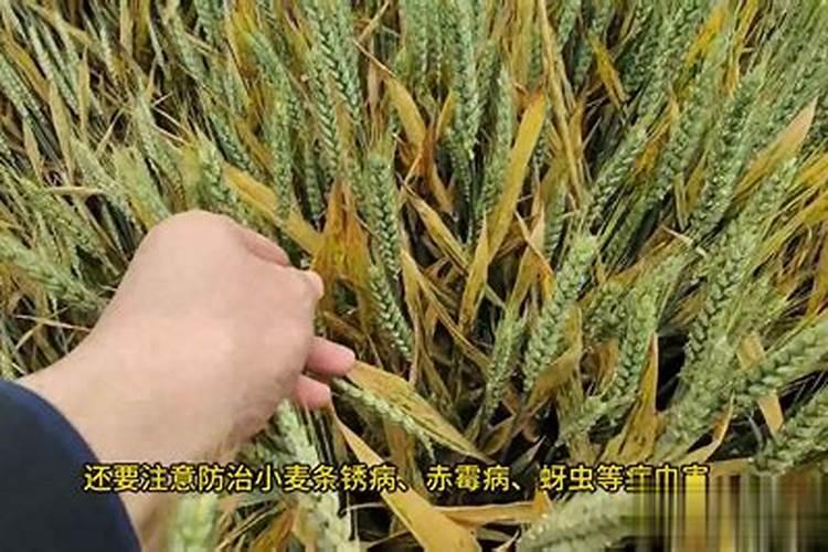 北京协和医院自制药大全以及用药指南!