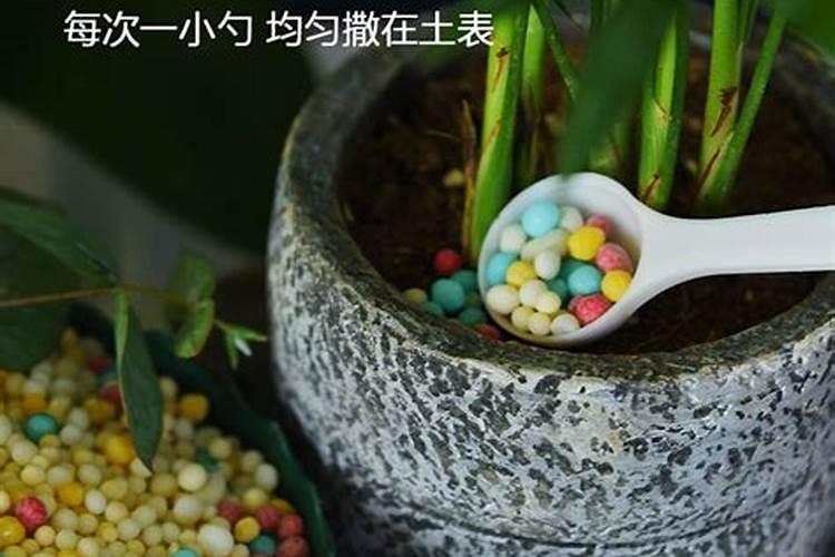 在家怎样自制磷钾肥呢