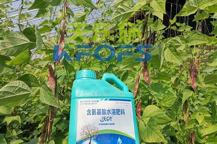 高粱含有哪些营养成分呢？