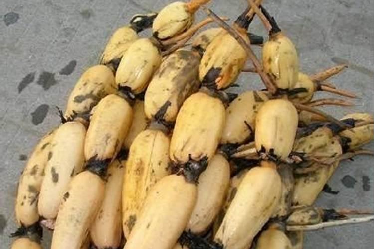 大豆硼肥如何使用？