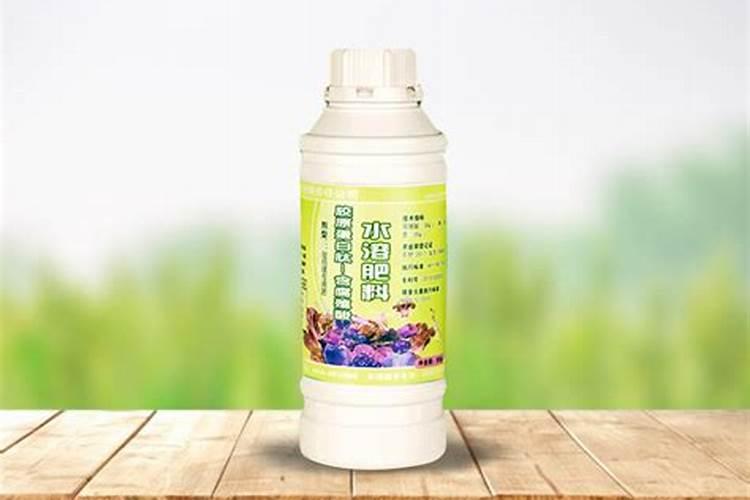 吊兰施什么肥料长得好