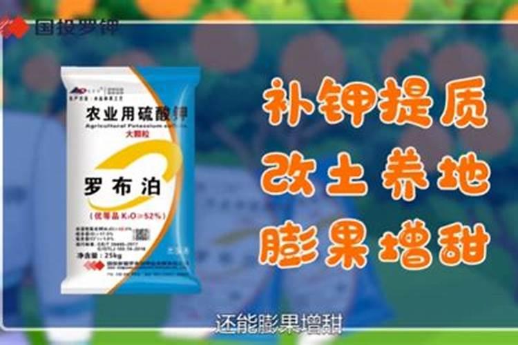 发财树可以施什么肥