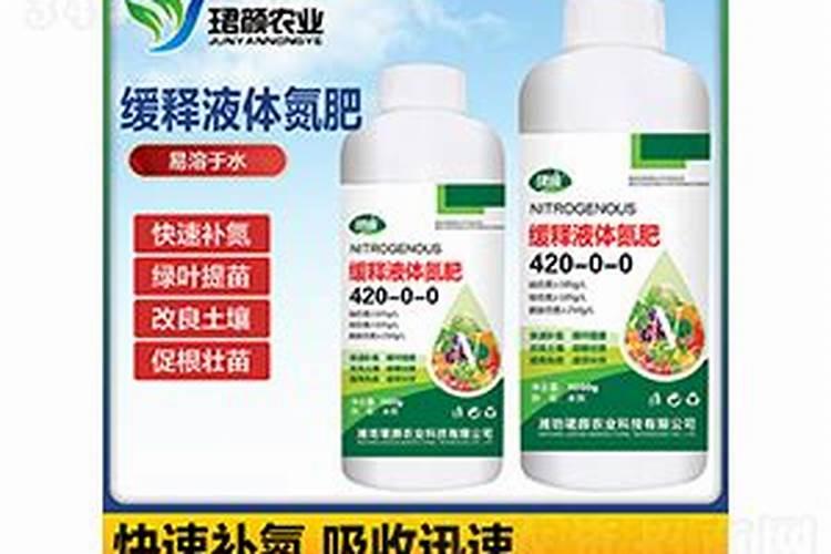 补钾的十种最佳食物