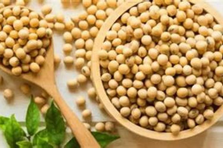 大豆做肥料用不用煮熟