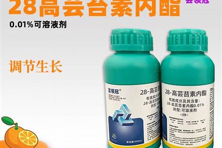 芸苔素内酯哪个厂家好