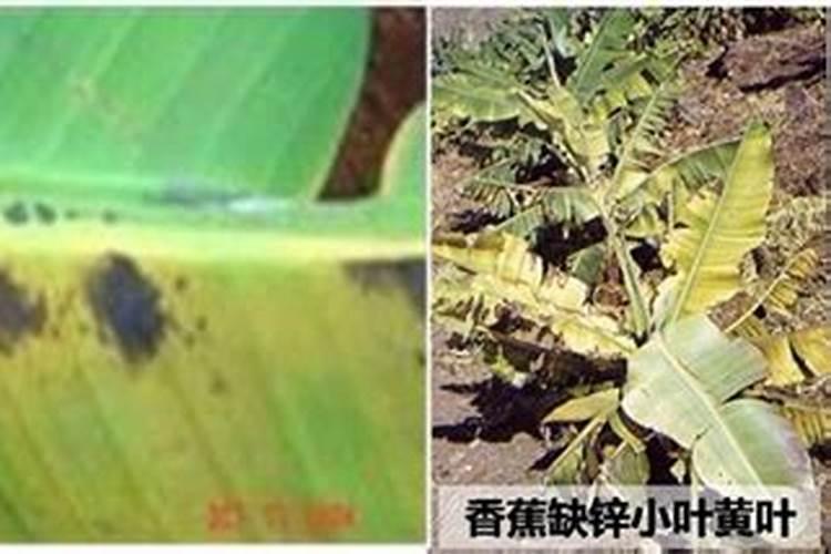 硝酸钾和硫酸钾有什么区别