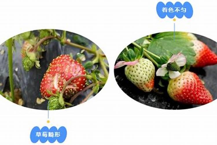 液氮是怎么储存和使用的？