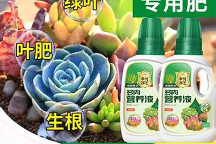 柠檬酸钾的作用和功效