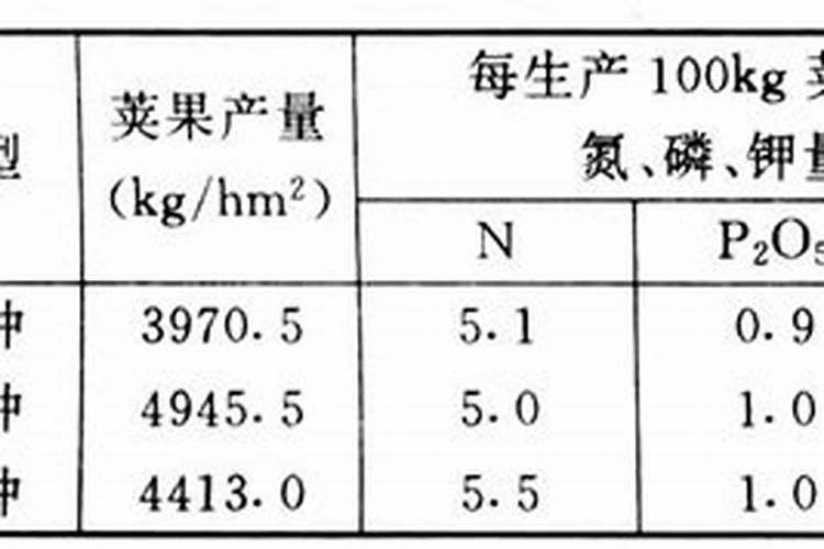 芸豆苗移栽正确方法