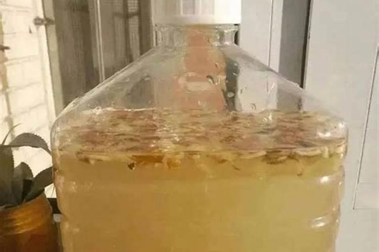 果皮水沤肥发霉了怎么办