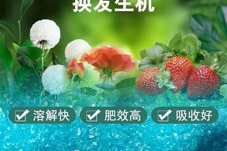 花多多1号什么时候用最好