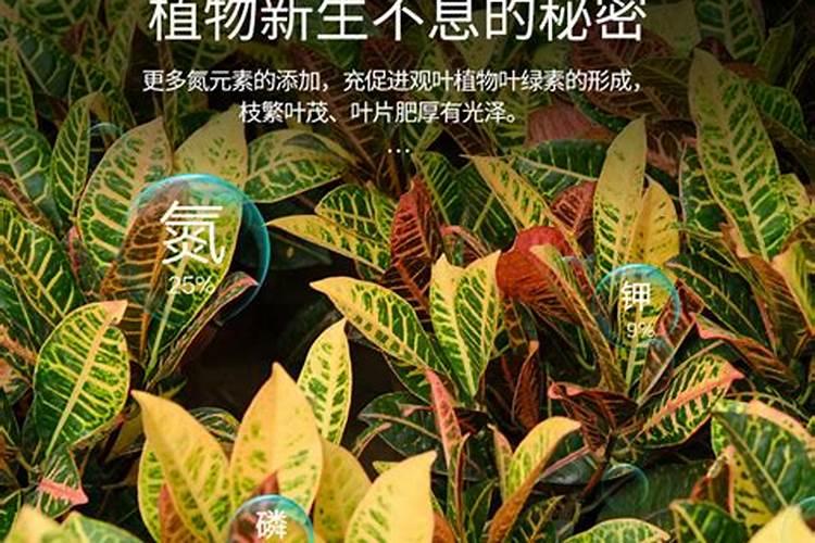 过期的七样东西能有怎样独特的用途,比专门买的家居用品还要出色？