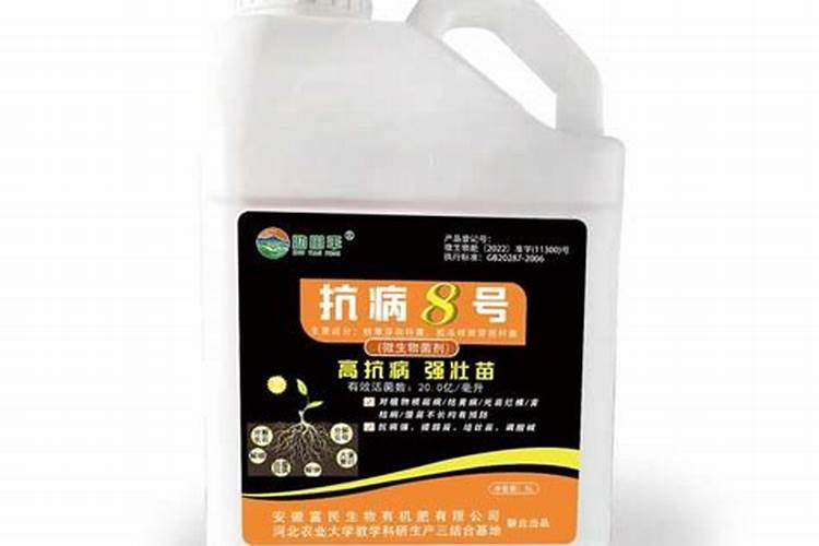 种菜籽饼的时候,什么时间施肥最合适？