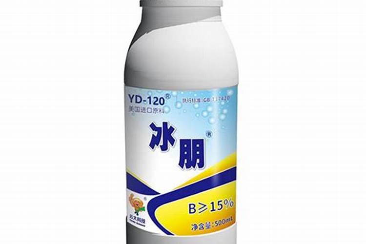 新买的月季缓苗要多久