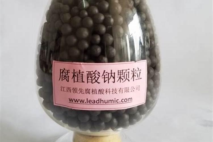 全国最大腐植酸生产厂家