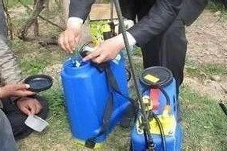 红糖加醋做叶面肥