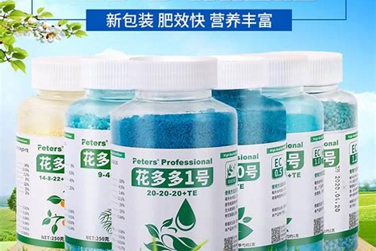 玉米如何使用叶面肥