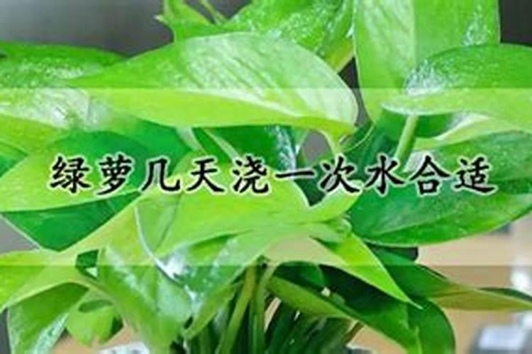 水稻分蘖肥需要用钾肥吗 怎么施肥效果好