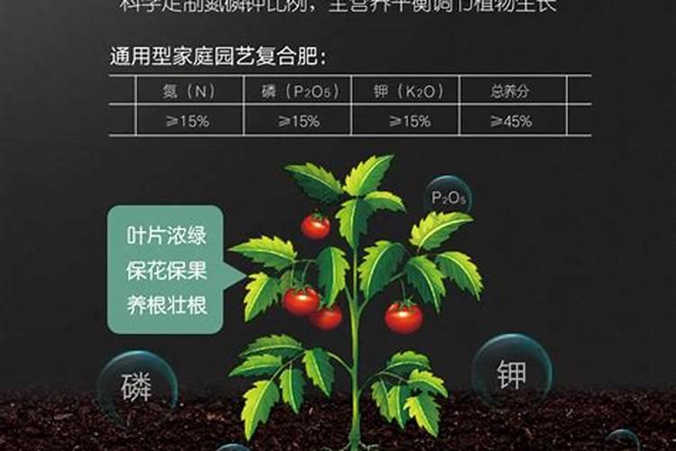 种草莓施什么肥