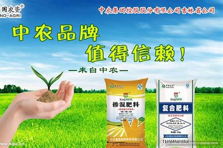 草莓苗种植多久能施肥