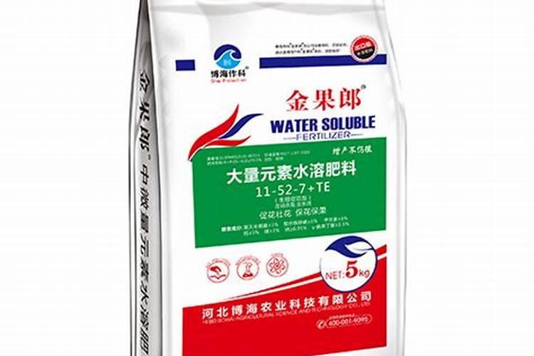 蝴蝶兰是如何上盆与换盆的？