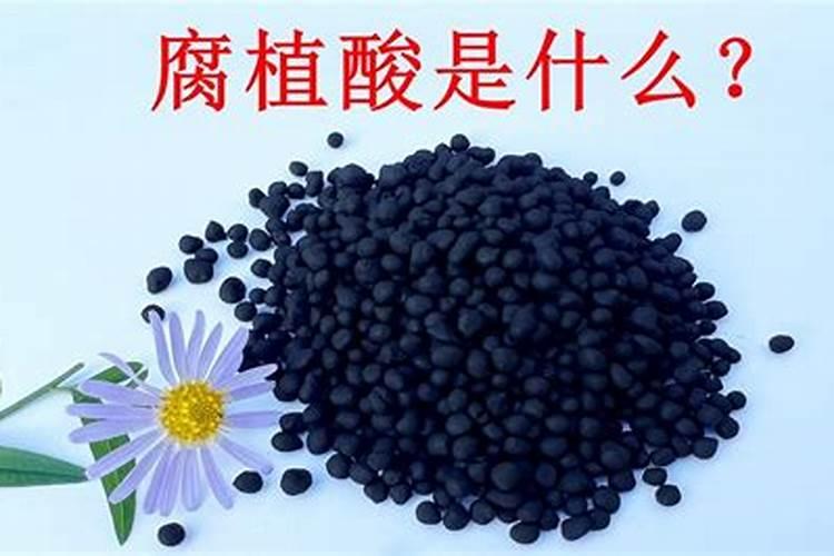 腐植酸是什么东西,腐植酸的作用