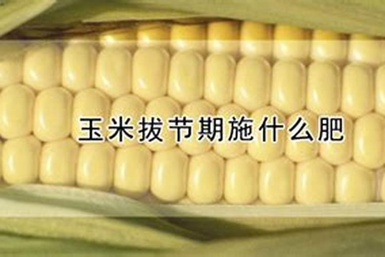 玉米叶面肥喷什么最好