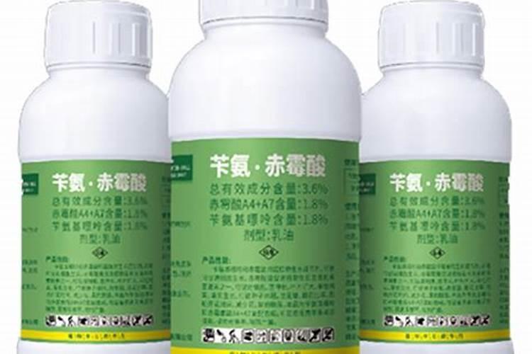 光杆发财树用苄氨赤霉酸催芽的方法方法