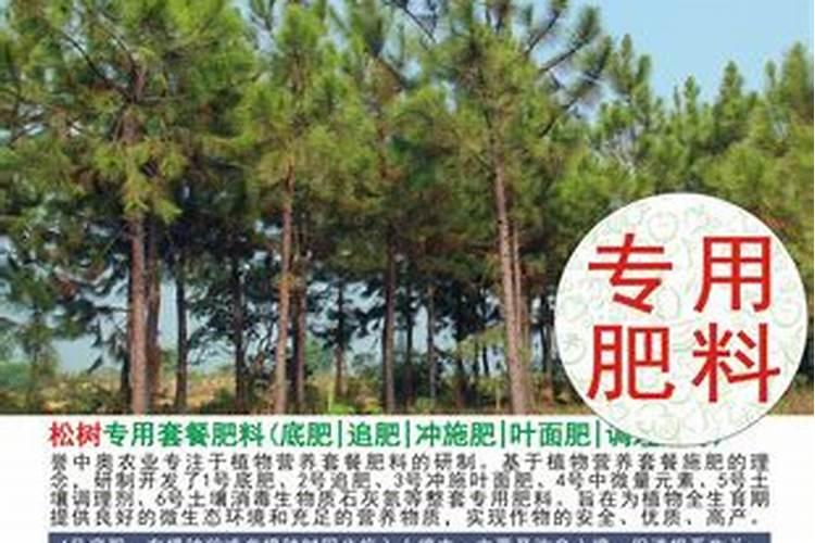 红松苗木施什么肥？