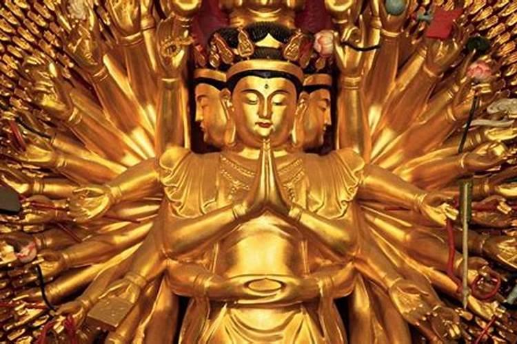 大棚黄瓜冬季快生根技术