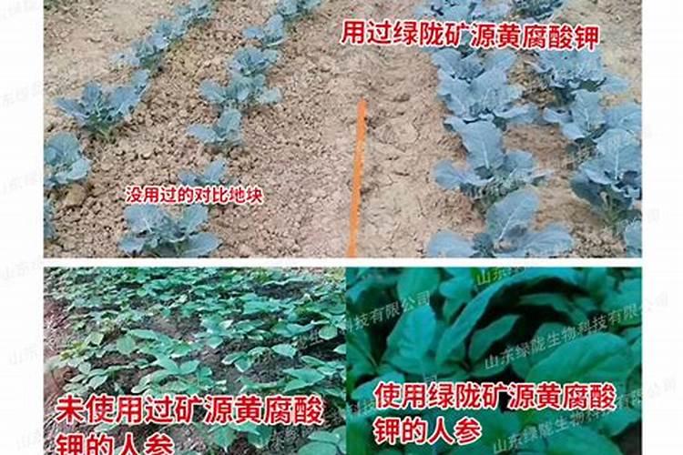 怎样才能合理施用磷肥