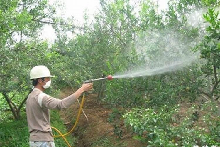 复合肥料氮磷钾元素的检测方法