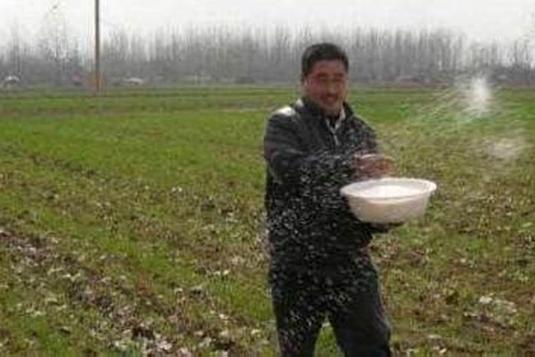 苹果树用什么肥料？把握三个时期,膨大果个效果好