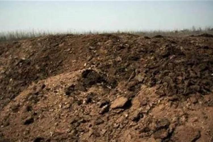 铵态氮肥为什么要深施覆土 铵态氮肥有哪些