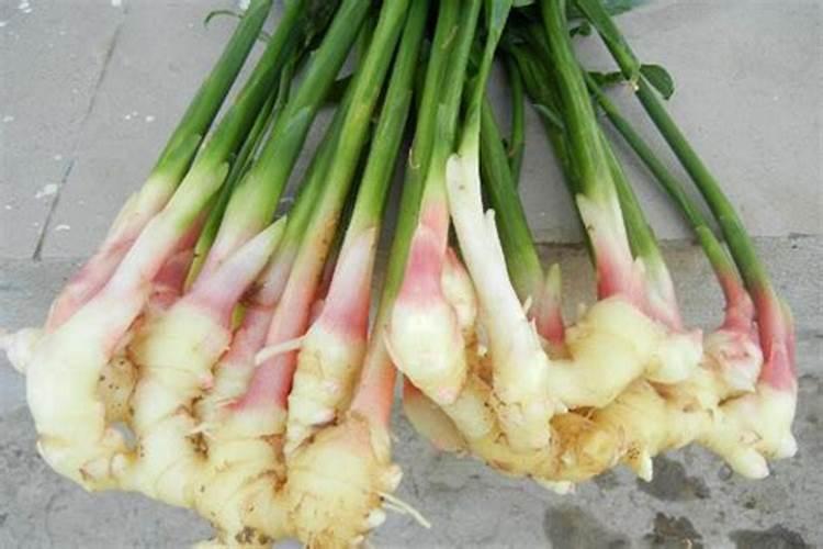 桂花快开花要不要施肥,上什么肥料开花多