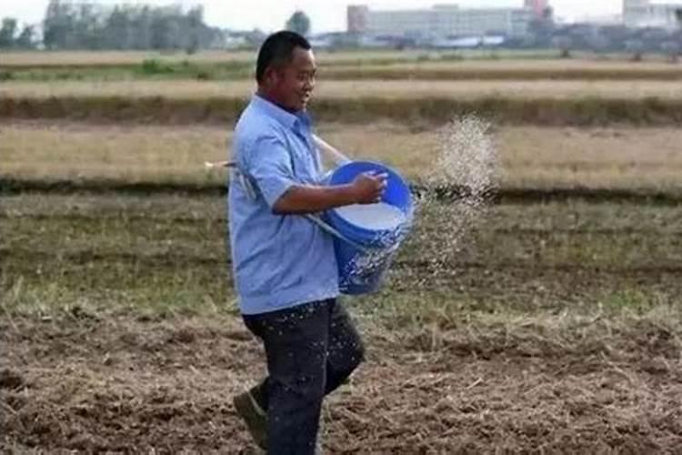 总氮超标怎么处理