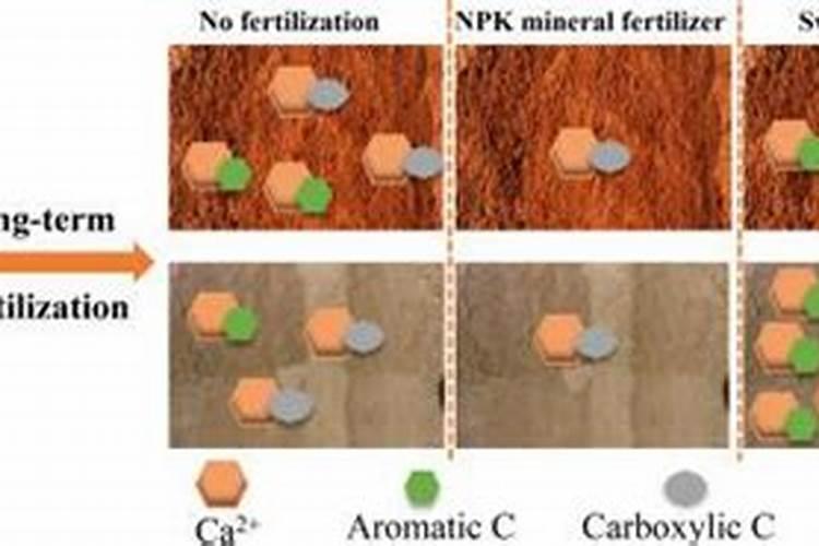 氯化钾是钾肥吗 化肥氯化钾的作用与功效