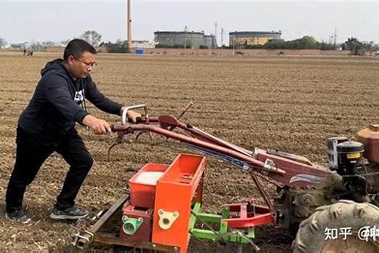 牧草可以施尿素吗