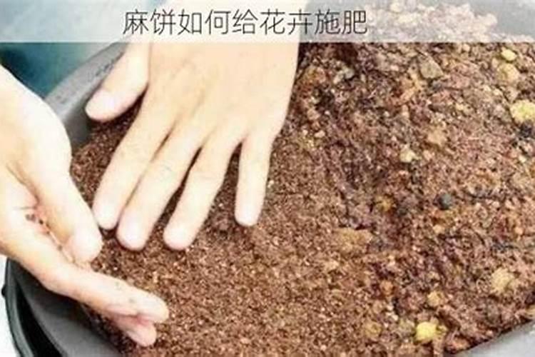 芝麻饼能直接做花肥？