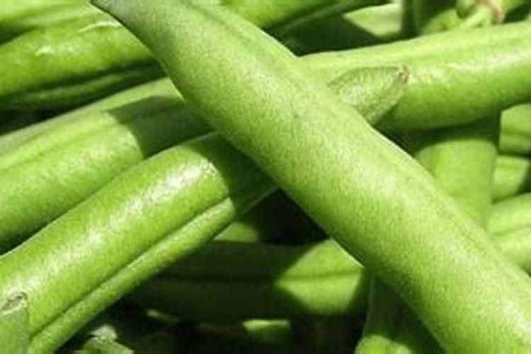 红薯追肥用什么肥料好