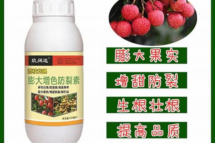 想要让荔枝树结更多的果子,应该怎样施肥？