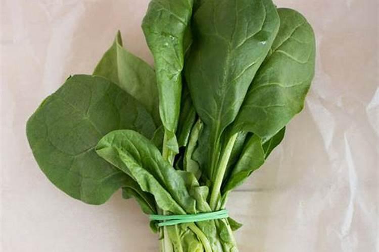 西兰花追肥用什么肥料好