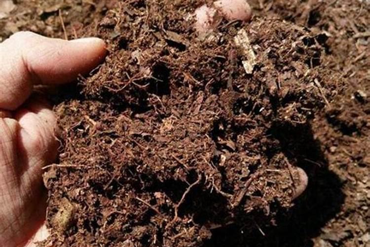 黄腐酸钾正确兑水方法