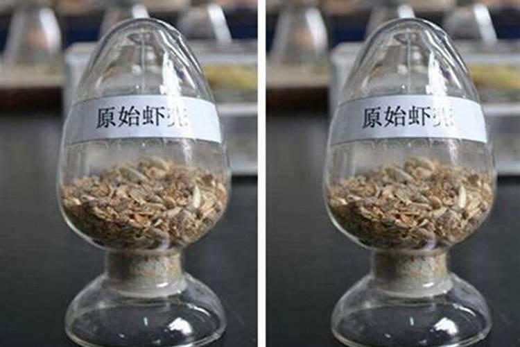 钾肥的作用