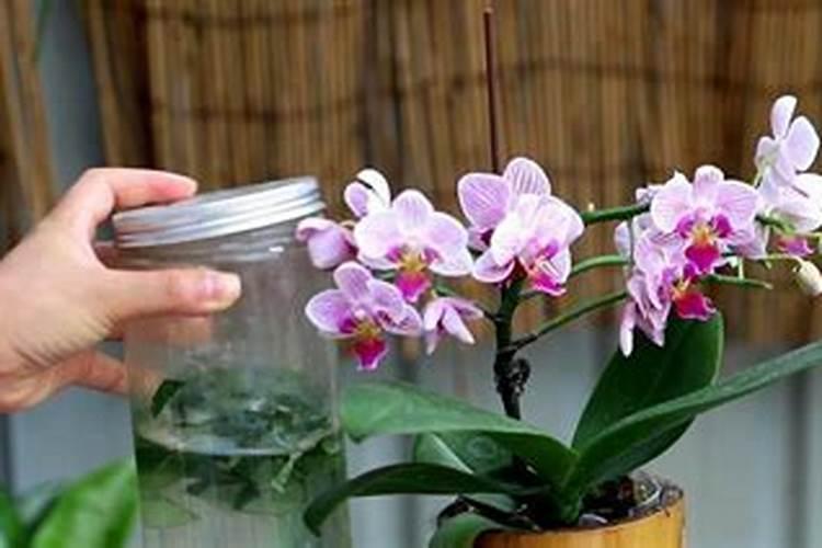 贴片滴灌带和侧翼滴灌带有什么区别？