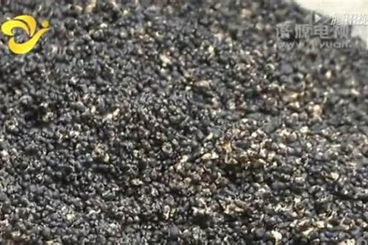 玉米高产有哪些技巧？需要用锌肥拌种吗？